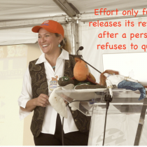 Effort only  fully releases its reward after a person refuses to quit.